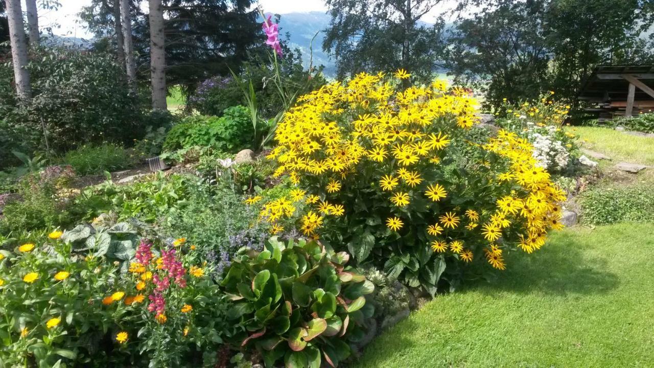 Ferienhaeuser Stohl Holiday home